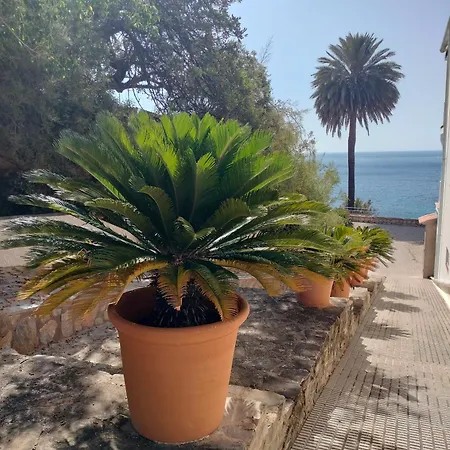 아파트 Con Encanto Primera Linea De Playa Manzanera